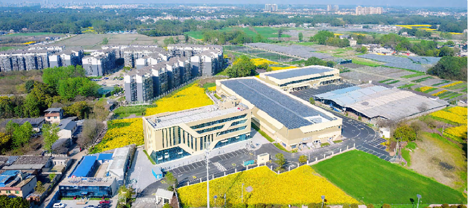 園區(qū)實(shí)際效果圖